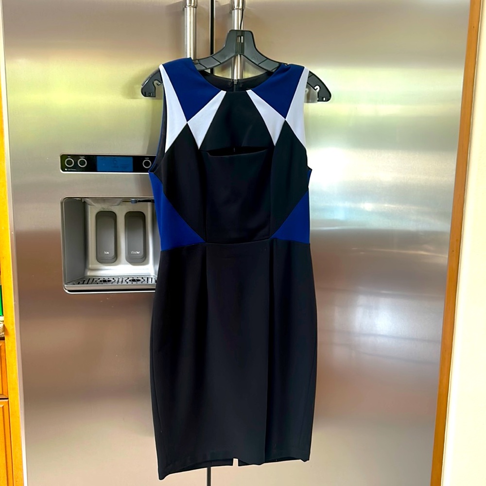BCBG Max Azria fitted dress